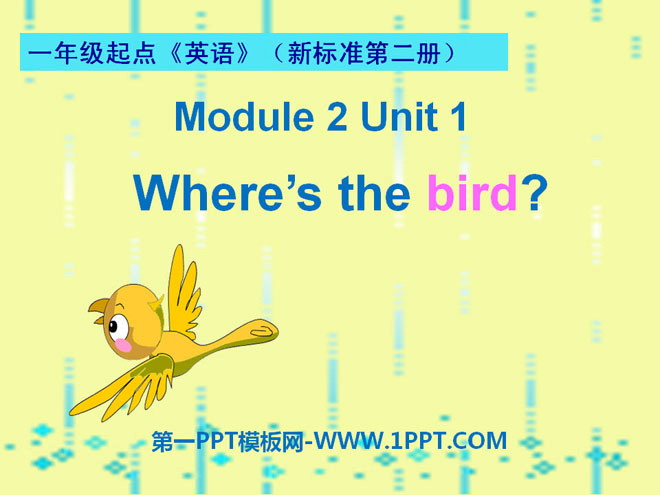 图片[1]-《Where’s the bird?》PPT课件2-第一PPT