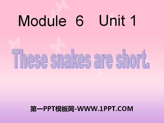 图片[1]-these_snakes_are_short-第一PPT