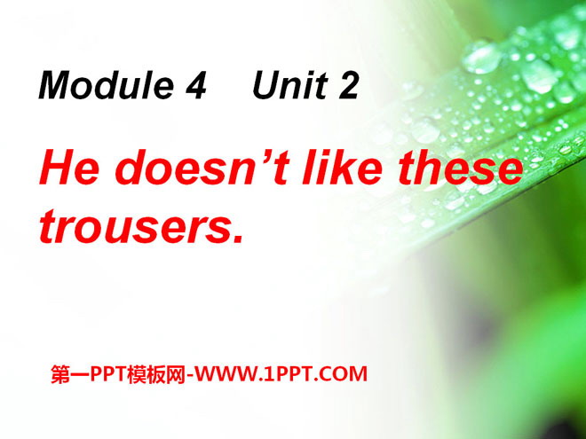 图片[1]-《He doesn’t like these trousers》PPT课件-第一PPT