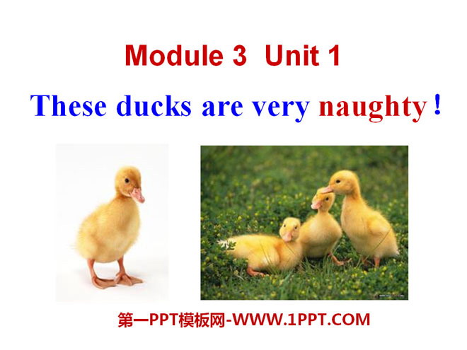 图片[1]-these_ducks_are_very_naughty-第一PPT
