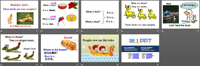 图片[2]-these_ducks_are_very_naughty-第一PPT