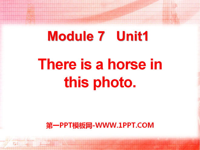 图片[1]-《There is a horse in this photo》PPT课件3-第一PPT