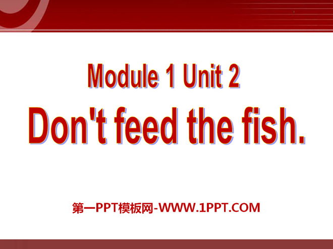 图片[1]-《Don’t feed the fish》PPT课件-第一PPT