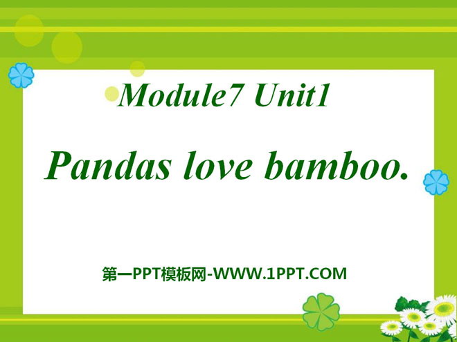 图片[1]-《Pandas love bamboo》PPT课件4-第一PPT