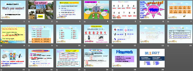 图片[2]-《what’s your number?》PPT课件4-第一PPT