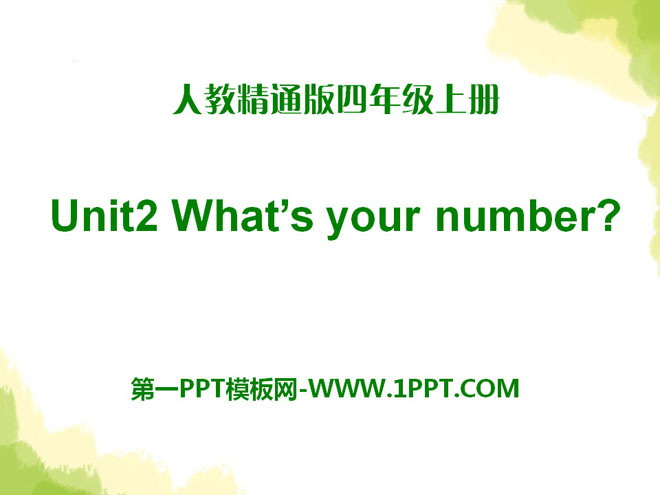 图片[1]-《What’s your number?》PPT课件7-第一PPT