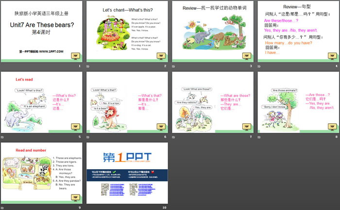 图片[2]-《Are These Bears?》PPT课件下载-第一PPT