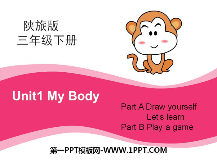 图片[1]-《My Body》PPT-第一PPT