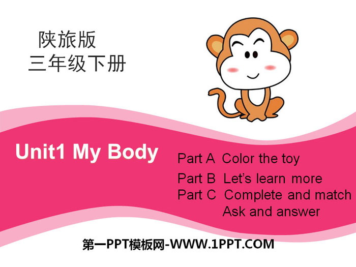 图片[1]-《My Body》PPT下载-第一PPT