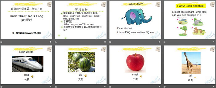 图片[2]-《The Ruler Is Long》PPT-第一PPT