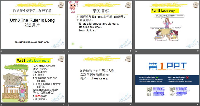 图片[2]-《The Ruler Is Long》PPT下载-第一PPT