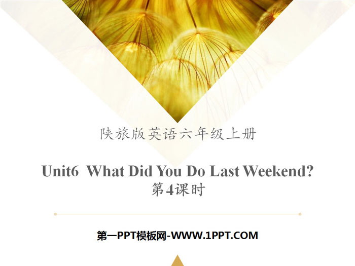 图片[1]-《What Did You Do Last Weekend?》PPT教学课件-第一PPT