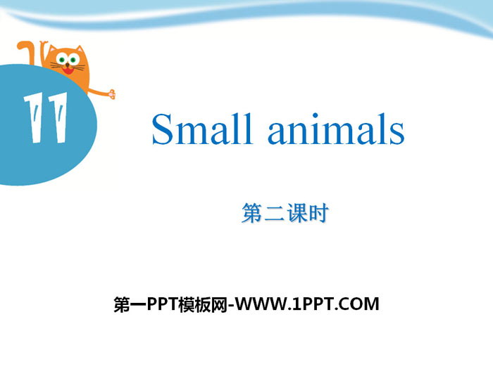 图片[1]-《Small animals》PPT课件-第一PPT