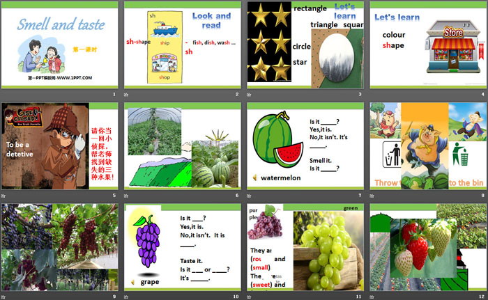 图片[2]-smell_and_taste-第一PPT