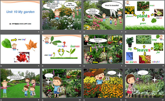 图片[2]-《My garden》PPT-第一PPT