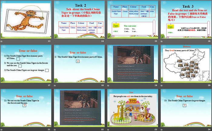 图片[3]-《Animals in danger》PPT-第一PPT