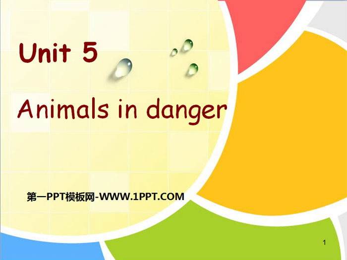 图片[1]-《Animals in danger》PPT下载-第一PPT