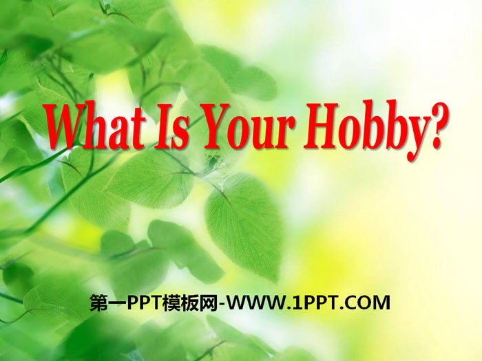 图片[1]-《What’s your hobby?》PPT-第一PPT