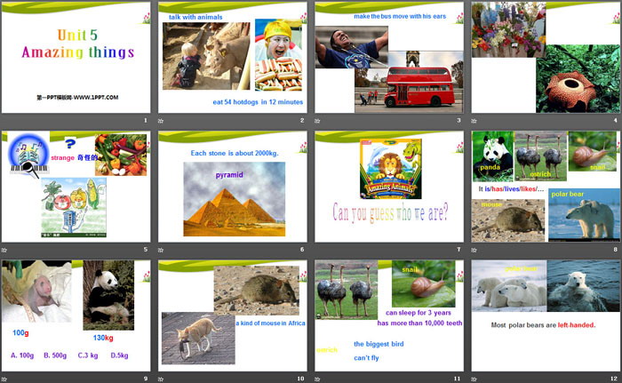 图片[2]-《Amazing things》PPT-第一PPT