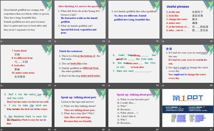 图片[3]-《Pets》Integrated skillsPPT-第一PPT