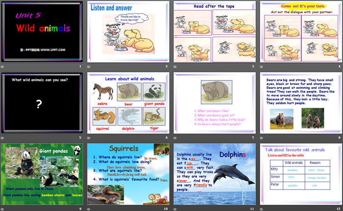 图片[2]-《Wild animals》PPT-第一PPT