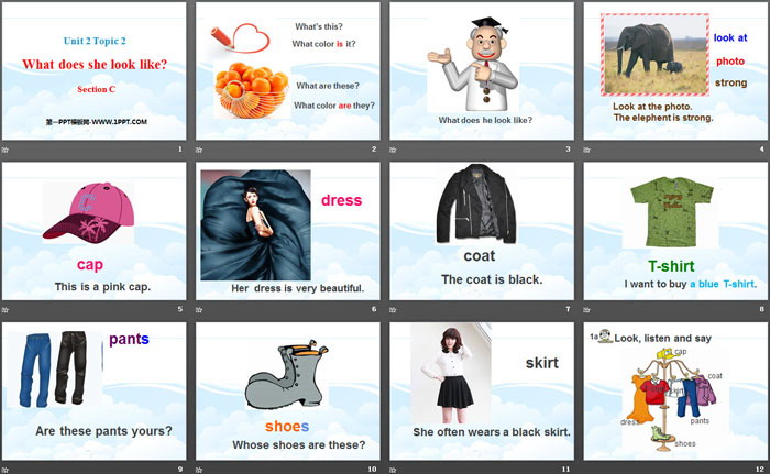 图片[2]-《What color is his hair?》SectionC PPT-第一PPT