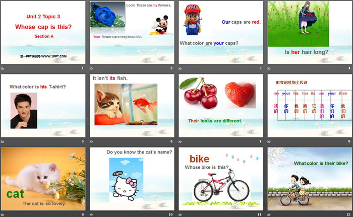 图片[2]-《Whose cap is this?》Section A PPT-第一PPT
