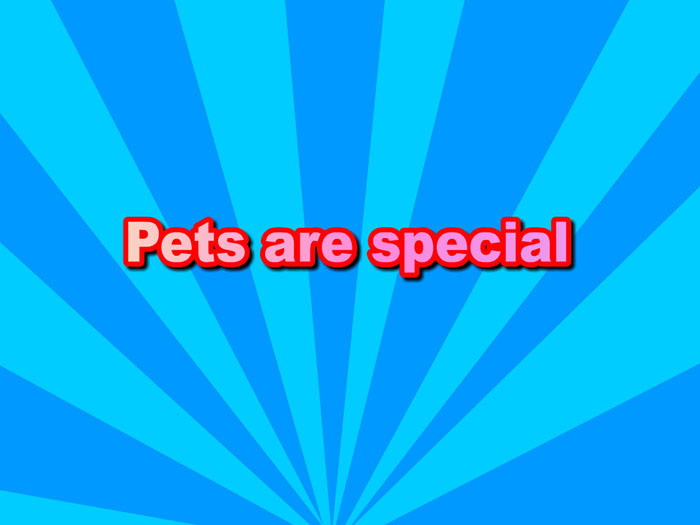 图片[1]-《What’s your hobby?》SectionD Flash动画课件-第一PPT