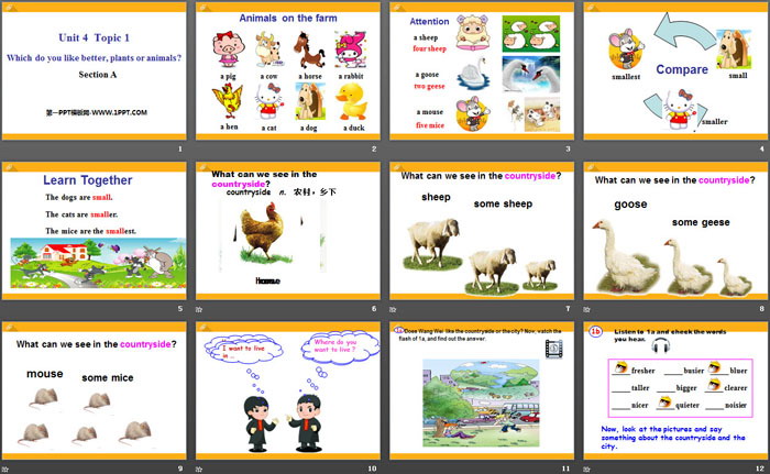 图片[2]-《Which do you like betterplants or animals?》SectionA PPT-第一PPT