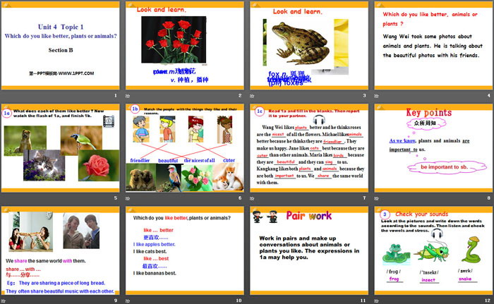 图片[2]-《Which do you like betterplants or animals?》SectionB PPT-第一PPT