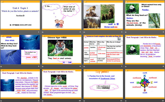 图片[2]-《Which do you like betterplants or animals?》SectionD PPT-第一PPT