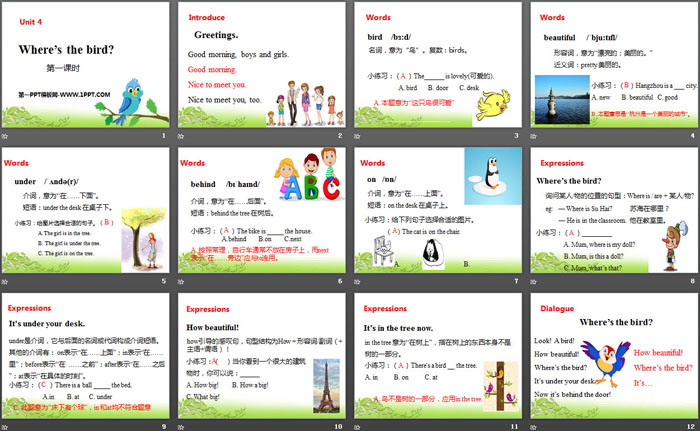 图片[2]-《Where’s the bird?》PPT(第一课时)-第一PPT
