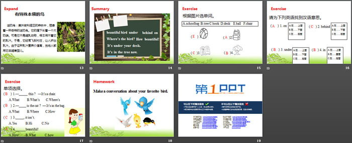 图片[3]-《Where’s the bird?》PPT(第一课时)-第一PPT