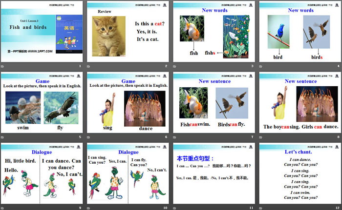 图片[2]-《Fish and Birds》Animals on the Farm PPT课件-第一PPT