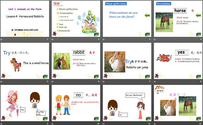 图片[2]-《Horses and Rabbits》Animals on the Farm PPT教学课件-第一PPT
