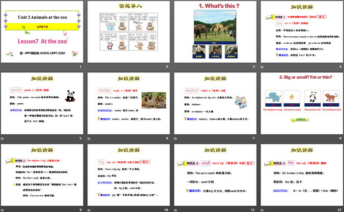 图片[2]-《At the zoo》Animals at the zoo PPT-第一PPT