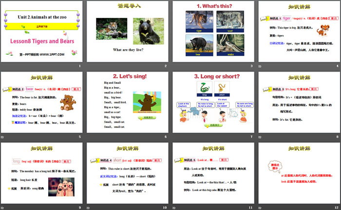 图片[2]-《Tigers and Bears》Animals at the zoo PPT-第一PPT