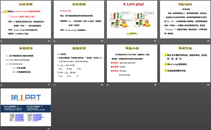 图片[3]-《Tigers and Bears》Animals at the zoo PPT-第一PPT