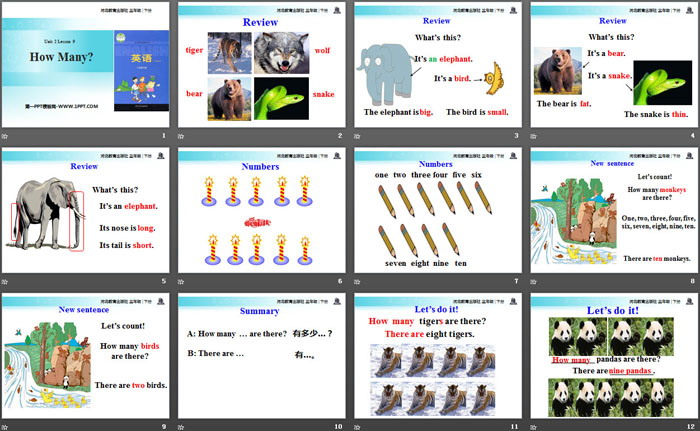 图片[2]-《How many?》Animals at the zoo PPT-第一PPT