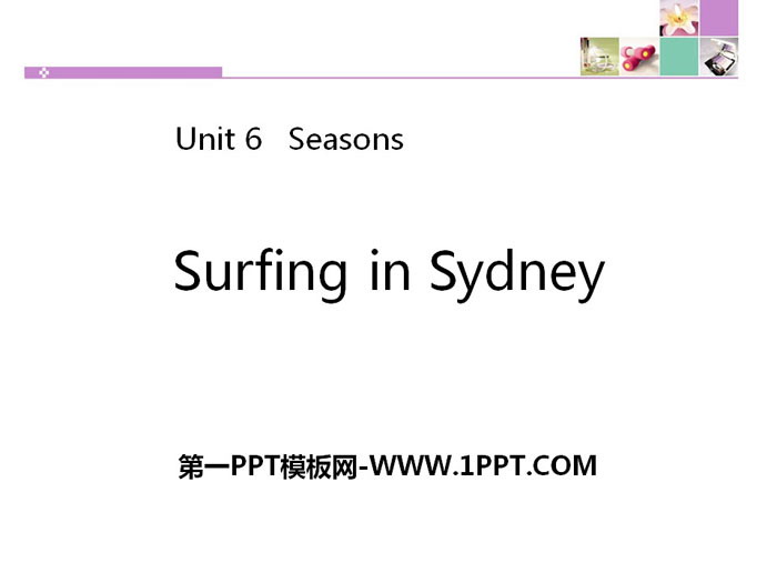 图片[1]-《Surfing in Sydney》Seasons PPT下载-第一PPT