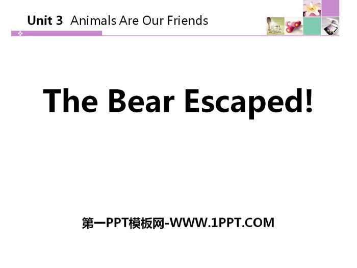 图片[1]-《The Bear Escaped!》Animals Are Our Friends PPT教学课件-第一PPT