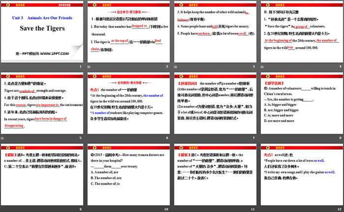 图片[2]-《Save the Tigers》Animals Are Our Friends PPT-第一PPT