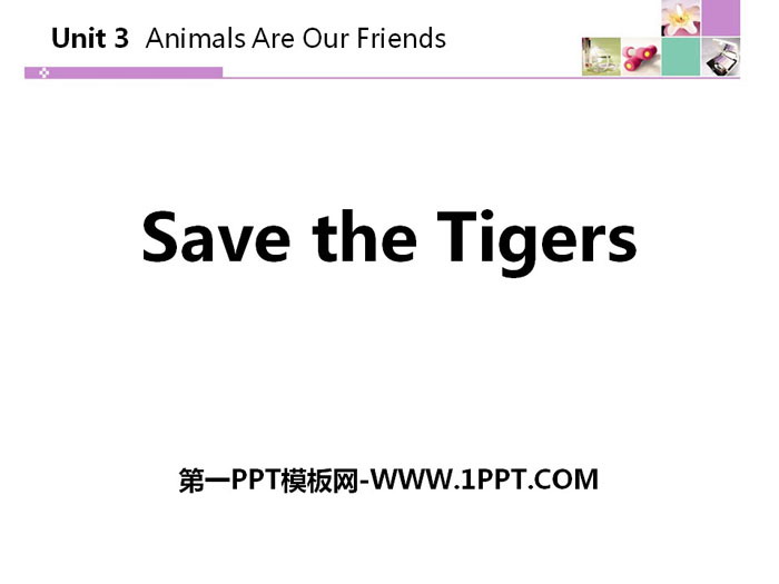 图片[1]-《Save the Tigers》Animals Are Our Friends PPT课件下载-第一PPT