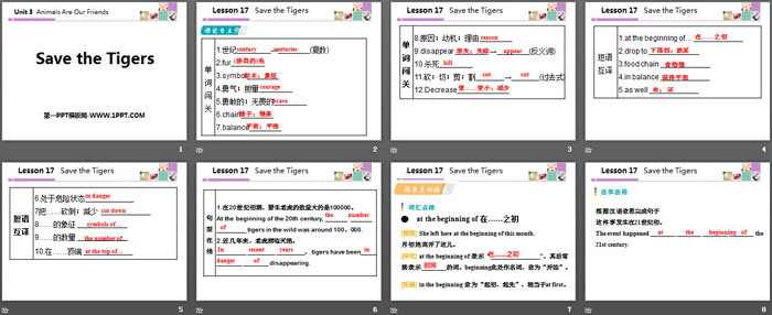 图片[2]-《Save the Tigers》Animals Are Our Friends PPT课件下载-第一PPT