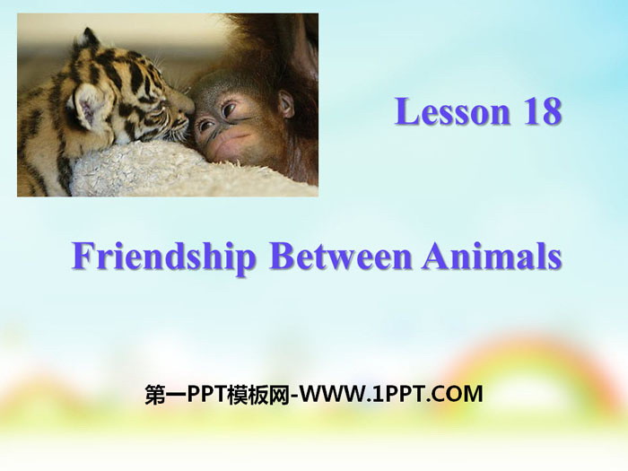 图片[1]-《Friendship Between Animals》Animals Are Our Friends PPT-第一PPT