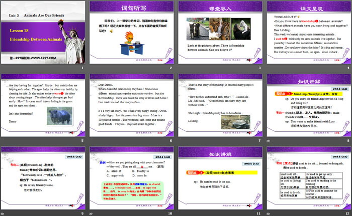 图片[2]-《Friendship Between Animals》Animals Are Our Friends PPT下载-第一PPT