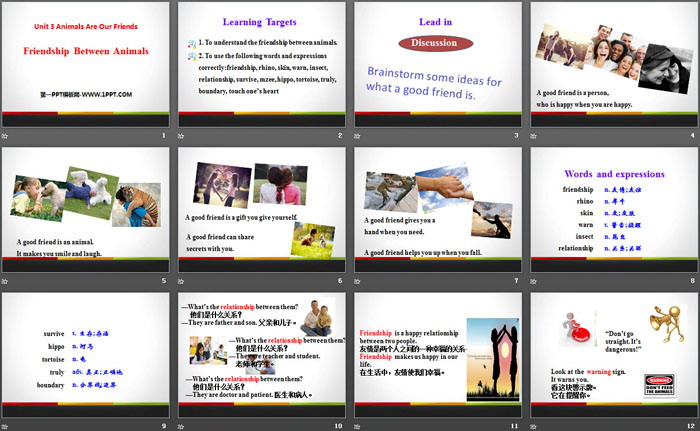 图片[2]-《Friendship Between Animals》Animals Are Our Friends PPT课件下载-第一PPT
