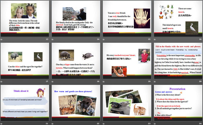 图片[3]-《Friendship Between Animals》Animals Are Our Friends PPT课件下载-第一PPT