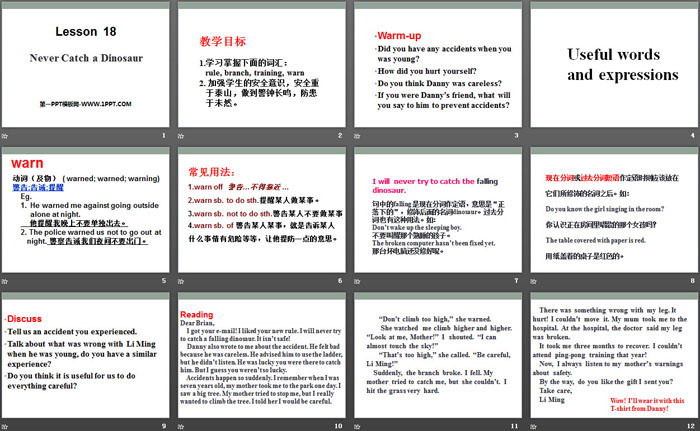 图片[2]-《Never Catch a Dinosaur》Safety PPT-第一PPT