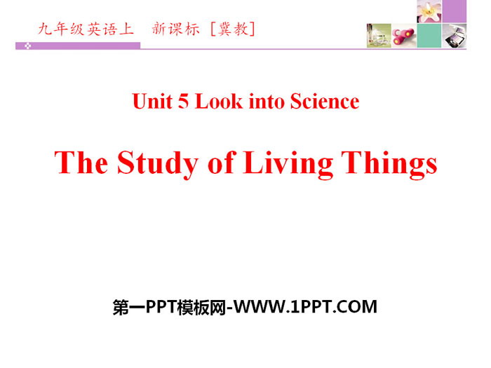 图片[1]-《The Study of Living Things》Look into Science! PPT下载-第一PPT